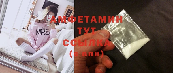 прущие грибы Белокуриха