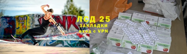 прущие грибы Белокуриха