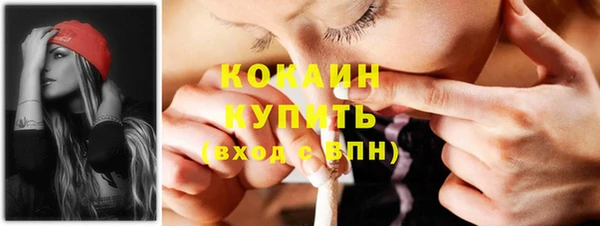 прущие грибы Белокуриха