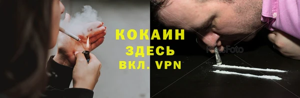 прущие грибы Белокуриха