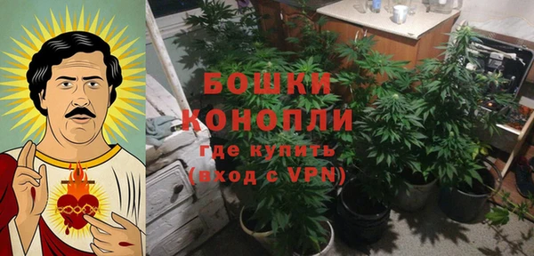 прущие грибы Белокуриха
