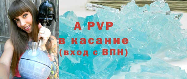 прущие грибы Белокуриха