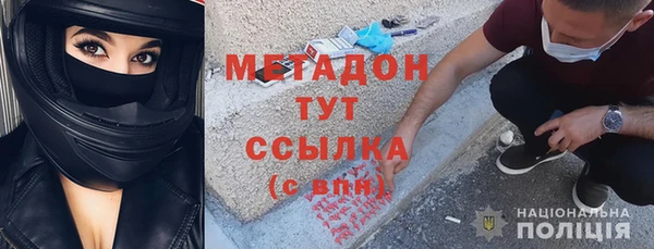 прущие грибы Белокуриха