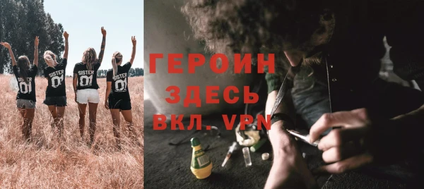 прущие грибы Белокуриха