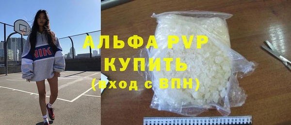 прущие грибы Белокуриха