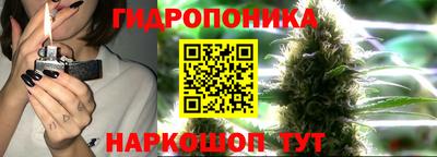 шишки Кунгур