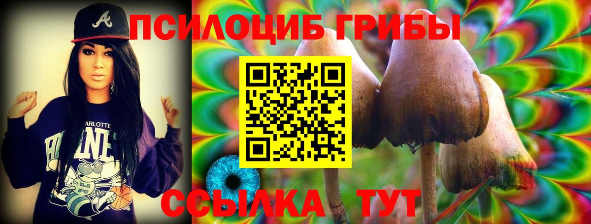 Псилоцибиновые грибы мицелий  Галлюциногенные грибы GOLDEN TEACHER  Вход с VPN  Сургут 
